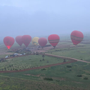 Several colorful hot air balloons flying above green fields and rural tracks near Marrakech